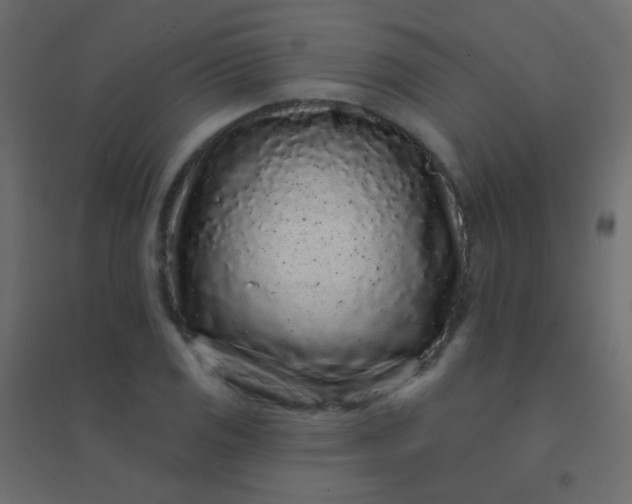 X0000094921125200712131509