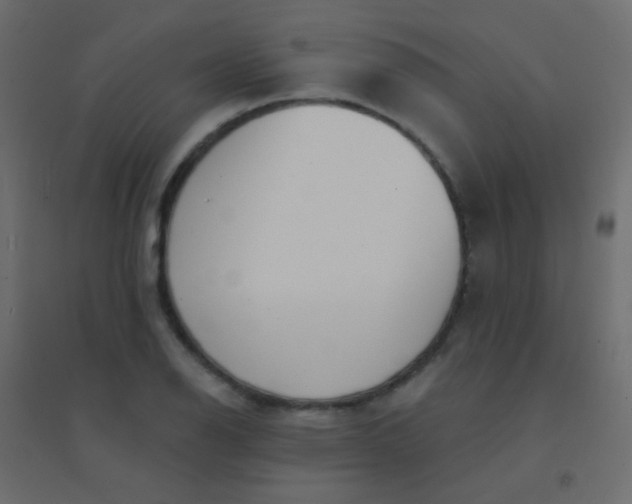 X0000094921126200712131509