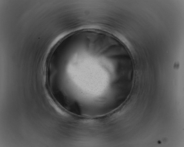 X0000094921127200712131509