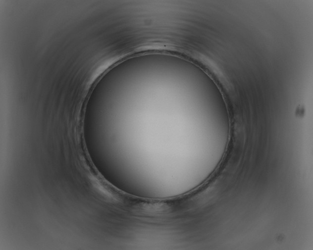 X0000094921129200712131509