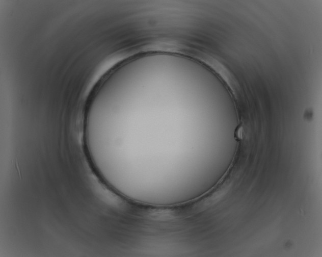 X0000094921131200712131509