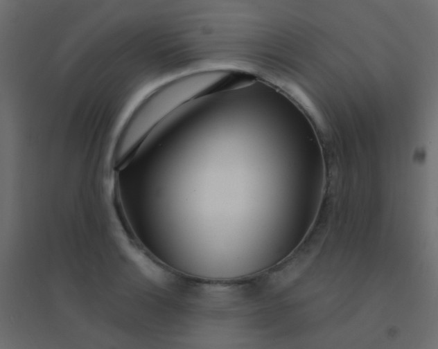 X0000094921132200712131509