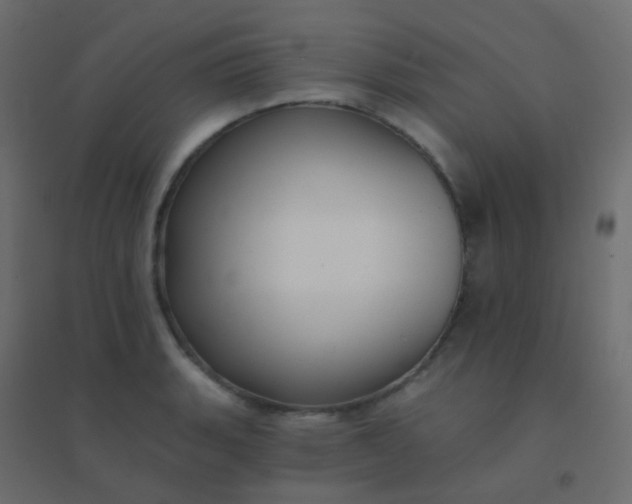 X0000094921135200712131509