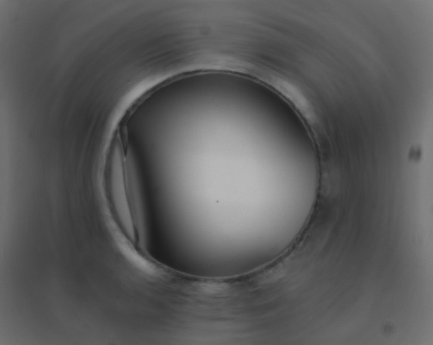 X0000094921136200712131509