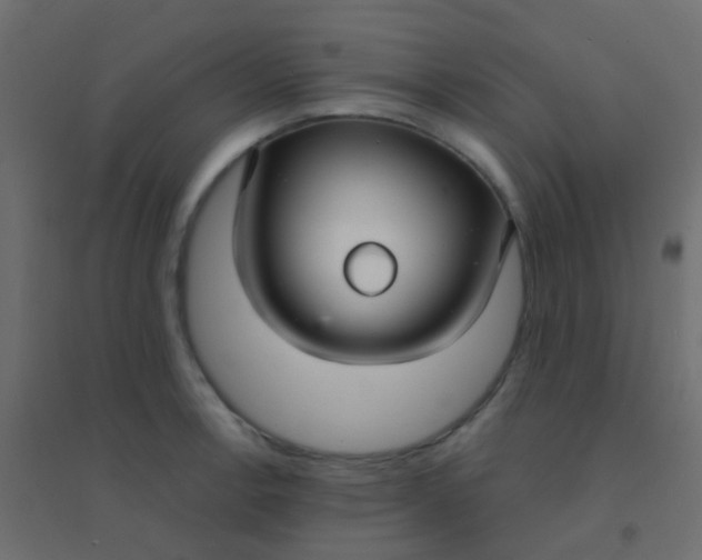 X0000094921138200712131509