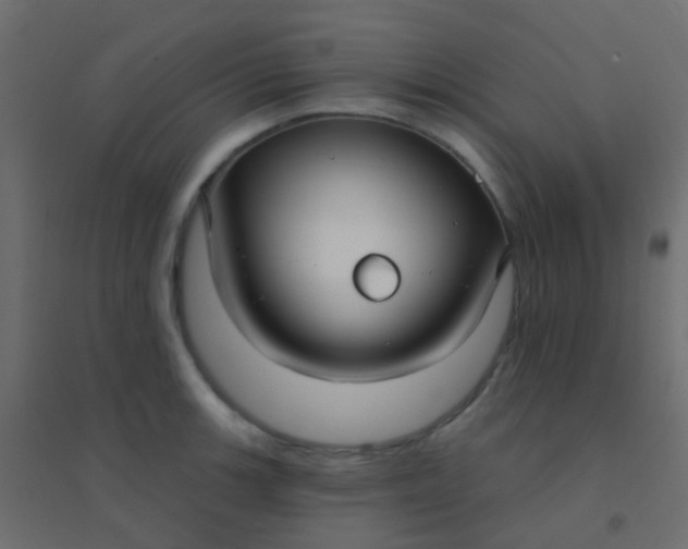 X0000094921139200712131509