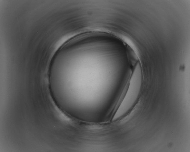 X0000094921141200712131509