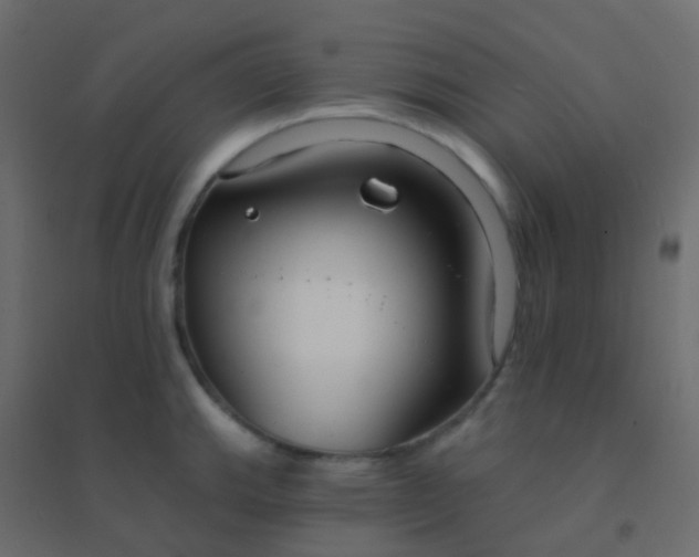 X0000094921143200712131509