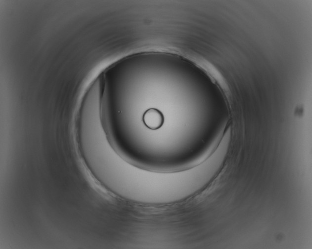 X0000094921144200712131509