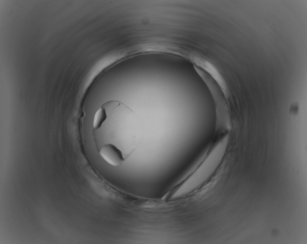 X0000094921146200712131509