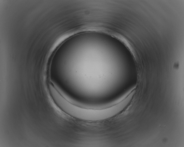 X0000094921147200712131509