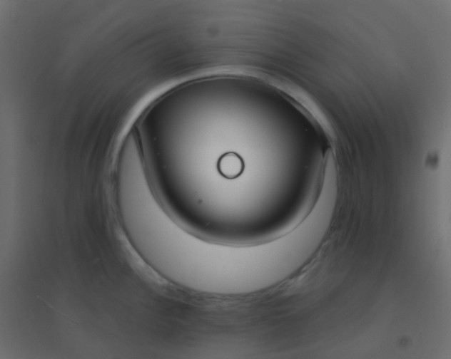 X0000094921148200712131509