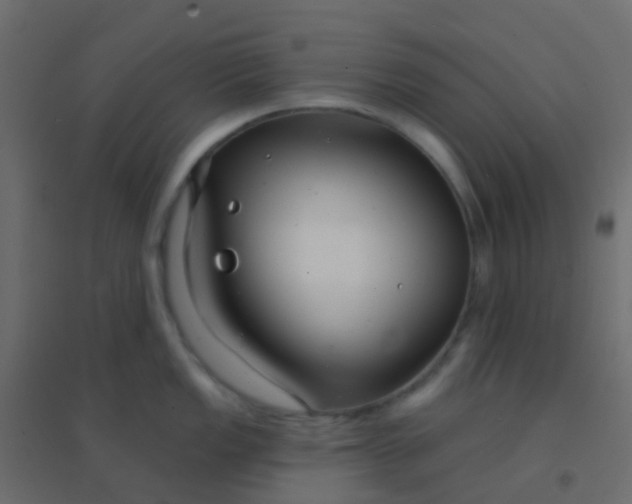 X0000094921149200712131509