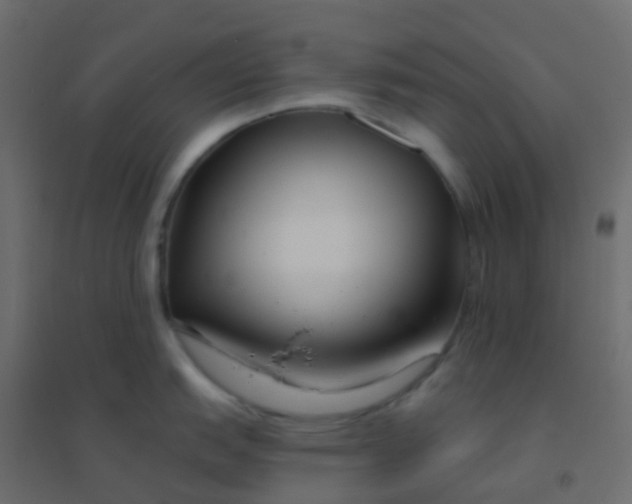 X0000094921151200712131509