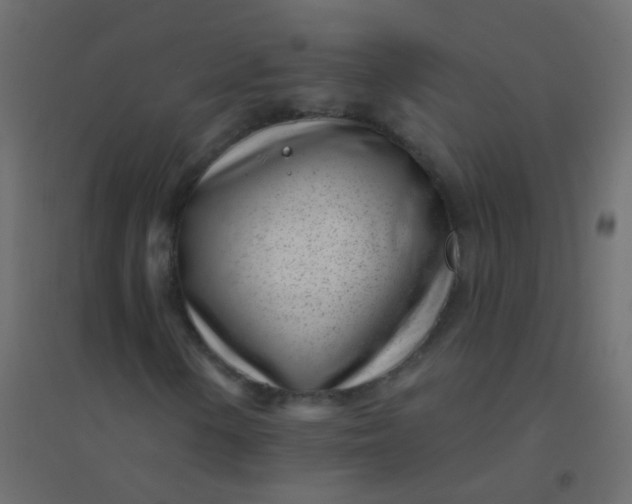 X0000094921154200712131508