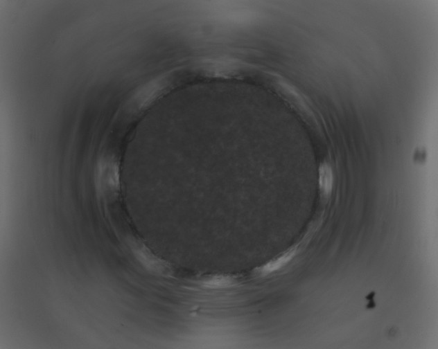 X0000094921155200712131508