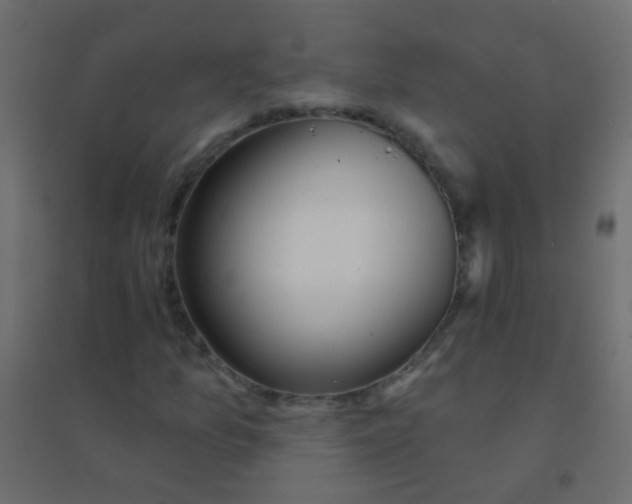 X0000094921157200712131508