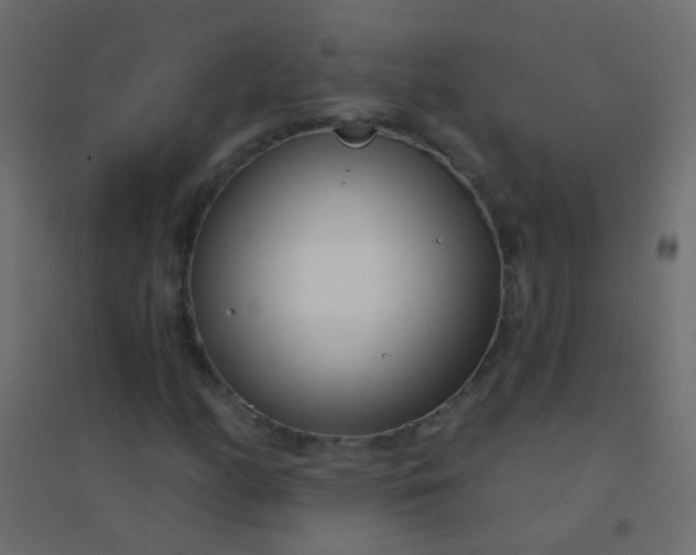 X0000094921158200712131508