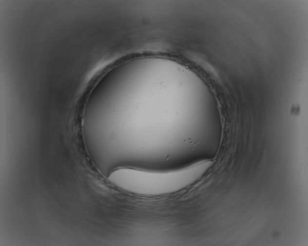 X0000094921160200712131508