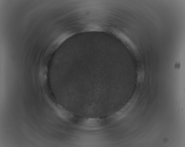 X0000094921161200712131508