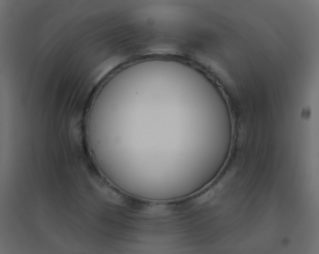 X0000094921162200712131508