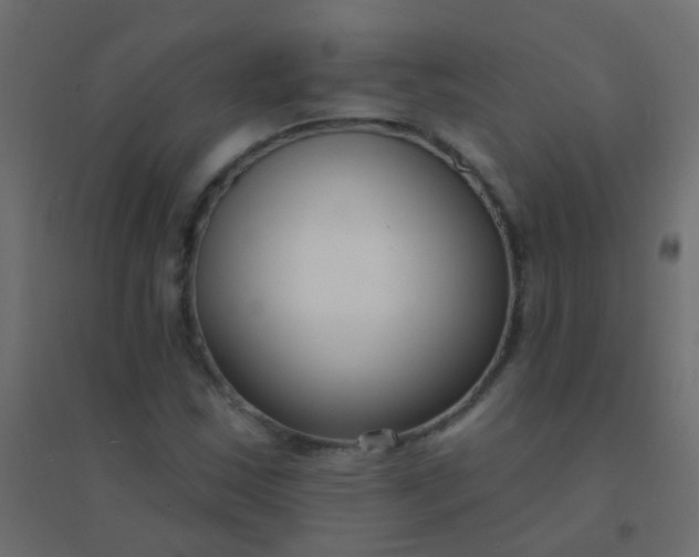 X0000094921163200712131508