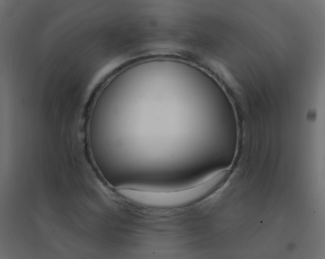 X0000094921164200712131508