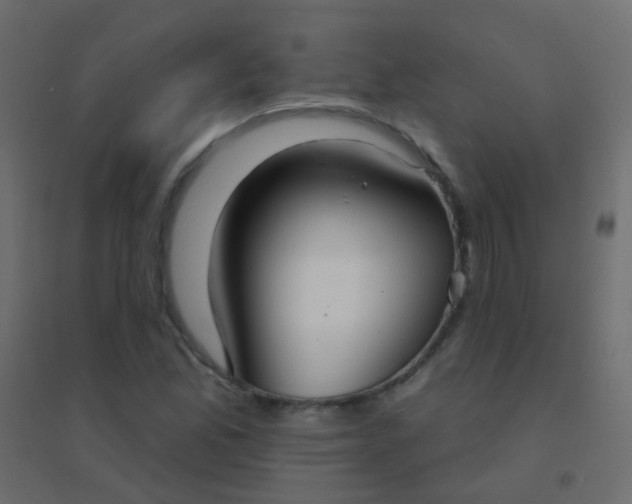 X0000094921165200712131508