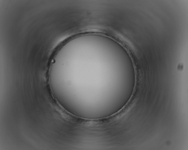 X0000094921166200712131508