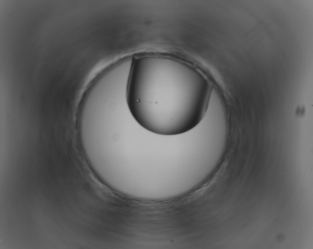 X0000094921168200712131508