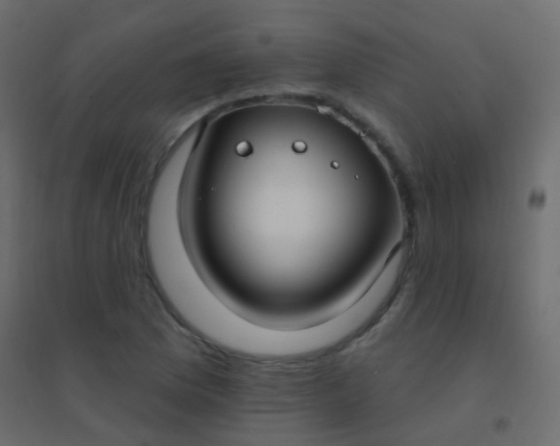 X0000094921169200712131508