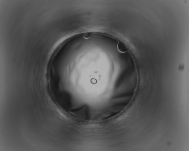 X0000094921174200712131508