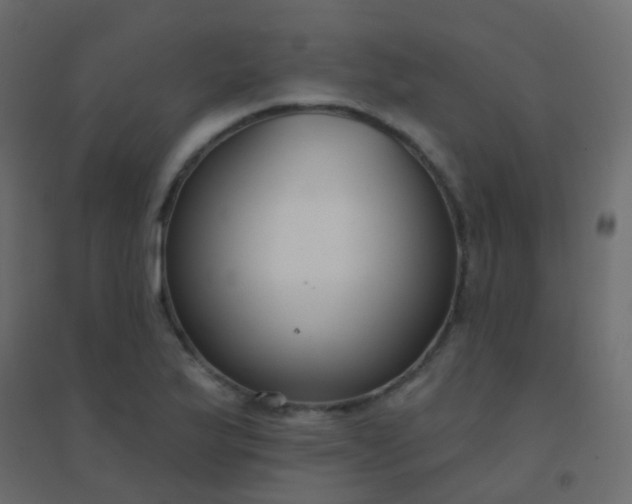 X0000094921175200712131508