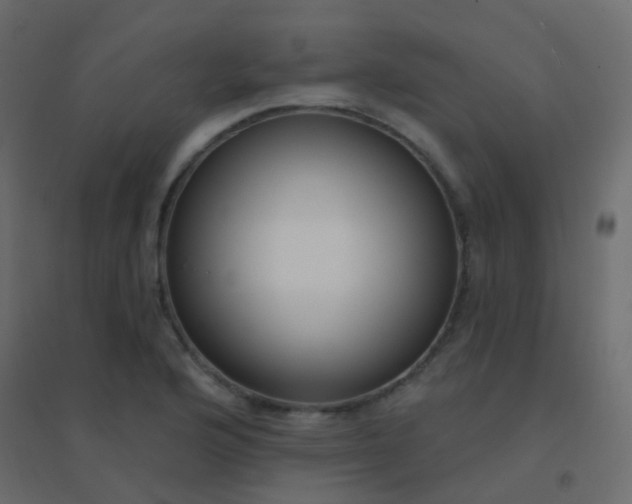 X0000094921176200712131508