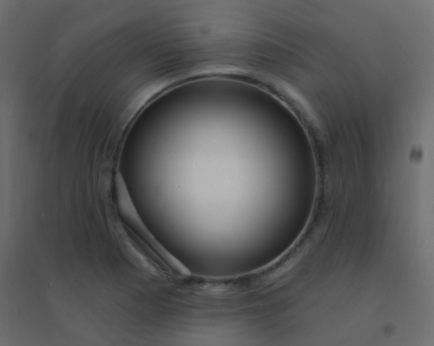 X0000094921177200712131508