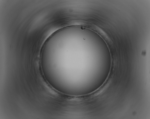 X0000094921178200712131508