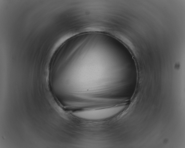 X0000094921179200712131508