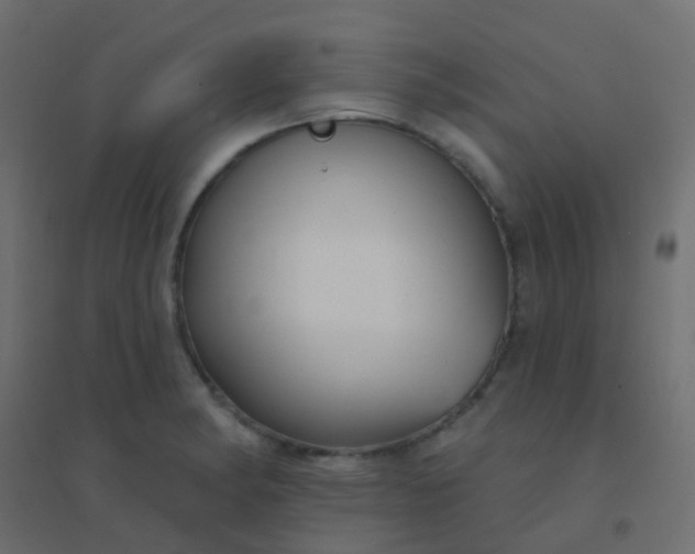 X0000094921182200712131508