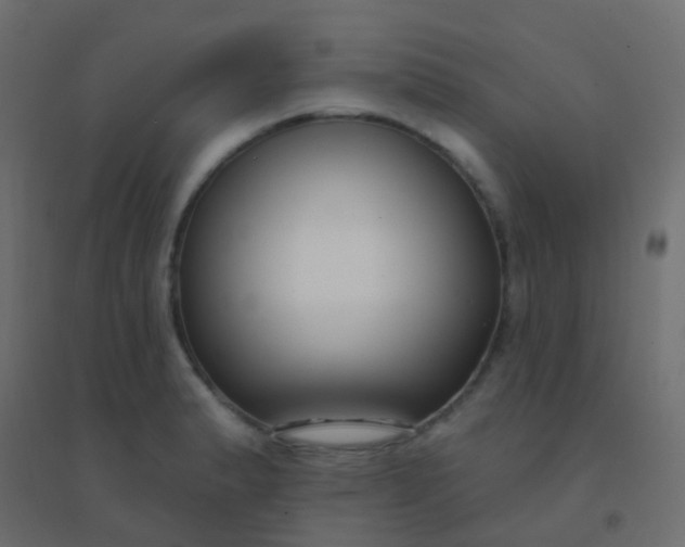 X0000094921183200712131508