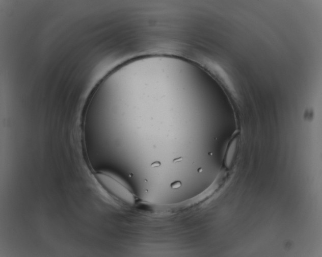 X0000094921184200712131508