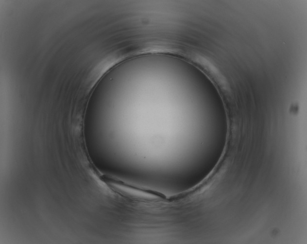 X0000094921185200712131508