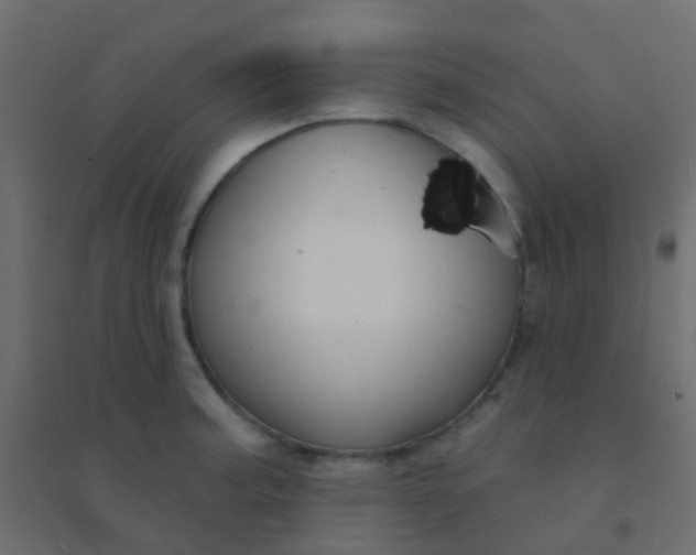 X0000094921187200712131508