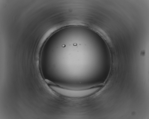 X0000094921188200712131508