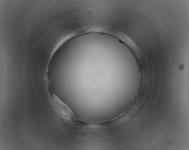 X0000094921190200712131508