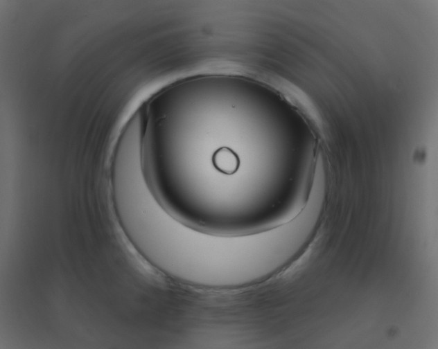 X0000094921192200712131508