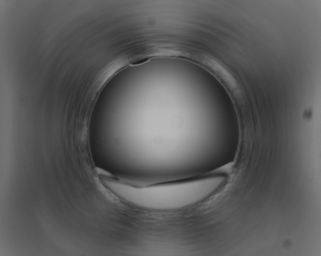 X0000094921193200712131508