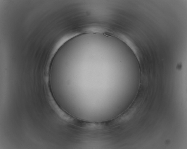 X0000094921195200712131508