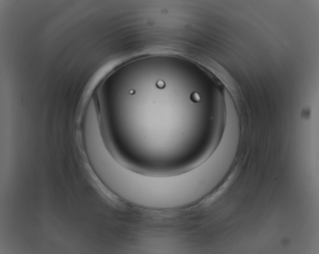 X0000094921196200712131508