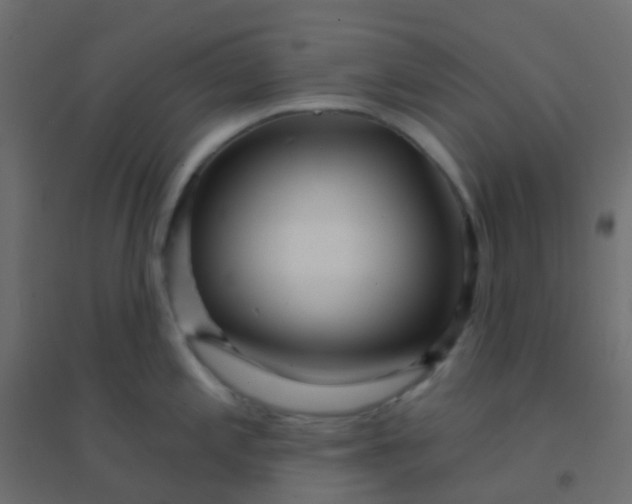 X0000094921197200712131508