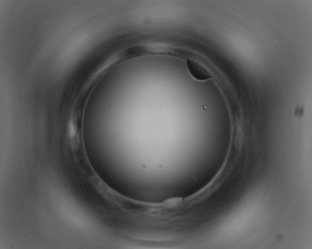 X0000094921198200712131508